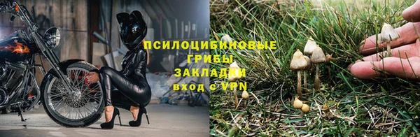 меф Зеленокумск