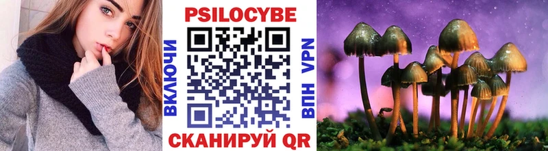 Псилоцибиновые грибы Psilocybine cubensis  Купить  Ельня 